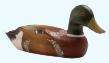 mallard decoy