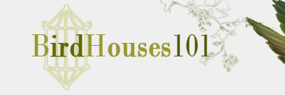 birdhouses 101