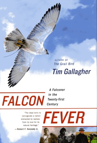 Falcon Fever