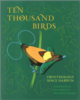 10000birds