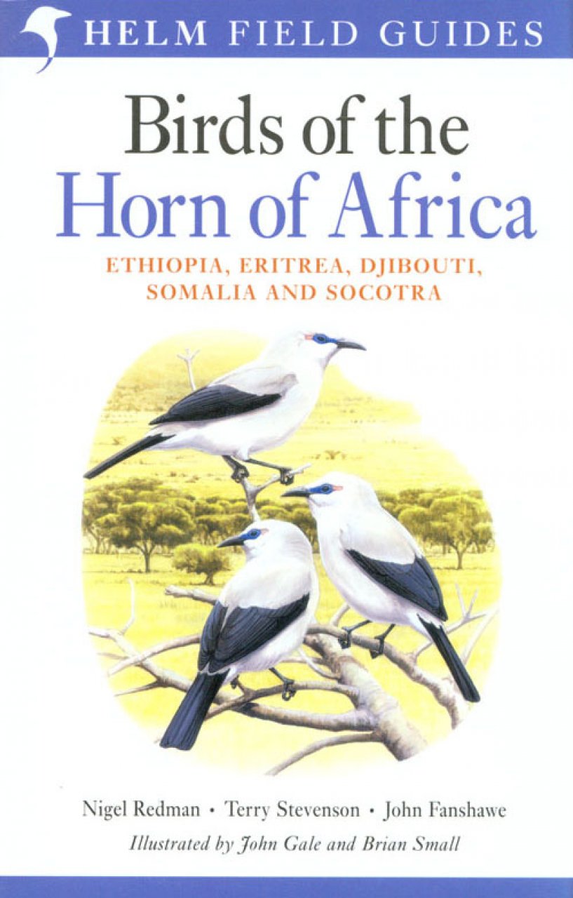 birds-horn-of-africa