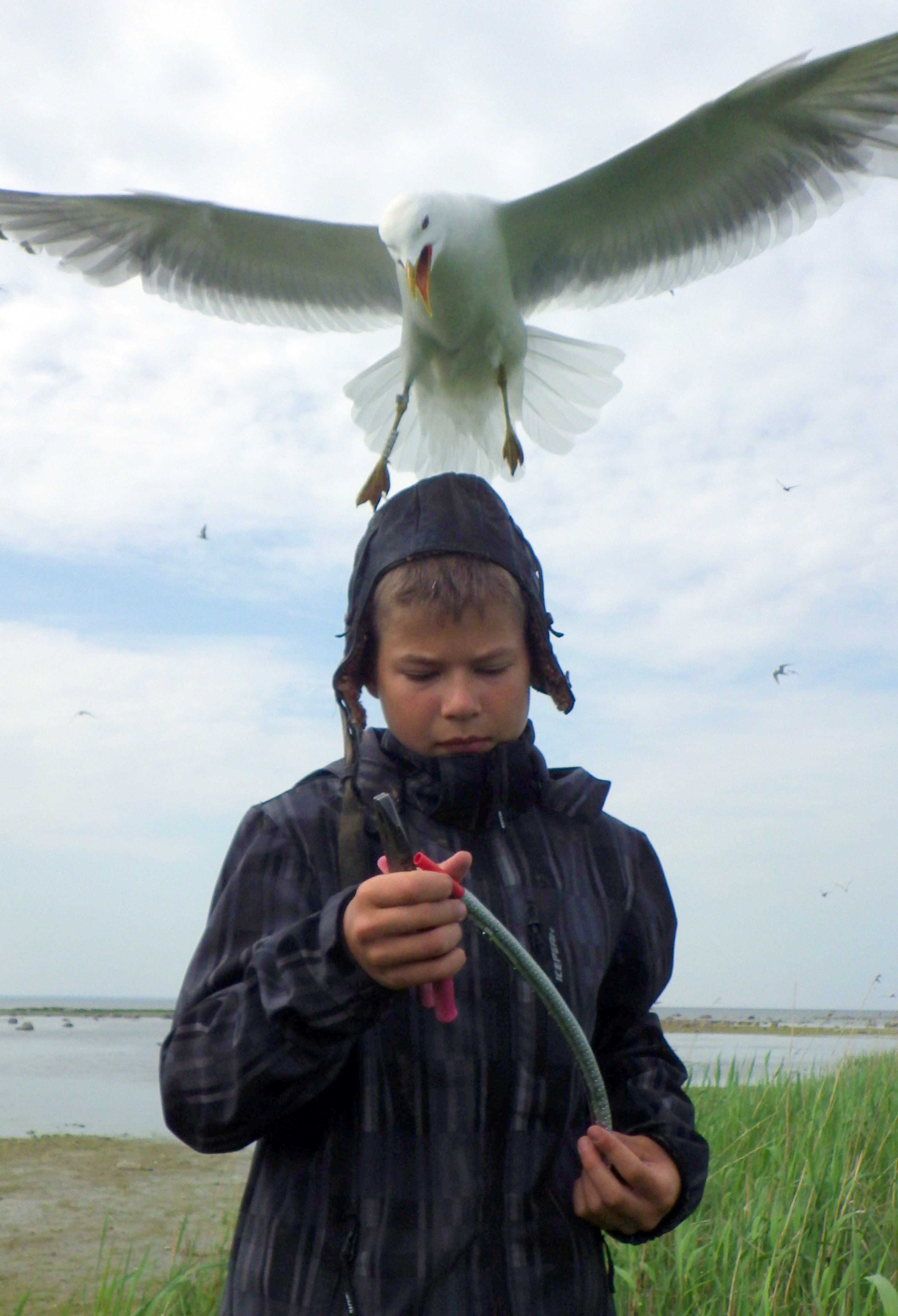 Budding ornithologist