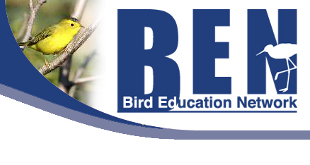 Birds Education Network