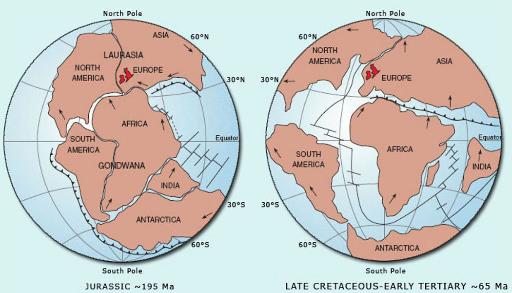 Pangaea was a supercontinent that existed during the late Paleozoic and early Mesozoic eras. It assembled from earlier continental units approximately 300 million years ago, and it began to break apart about 175 million years ago.
