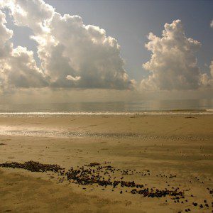 Mudflat_and_clouds_in_Sundarbans