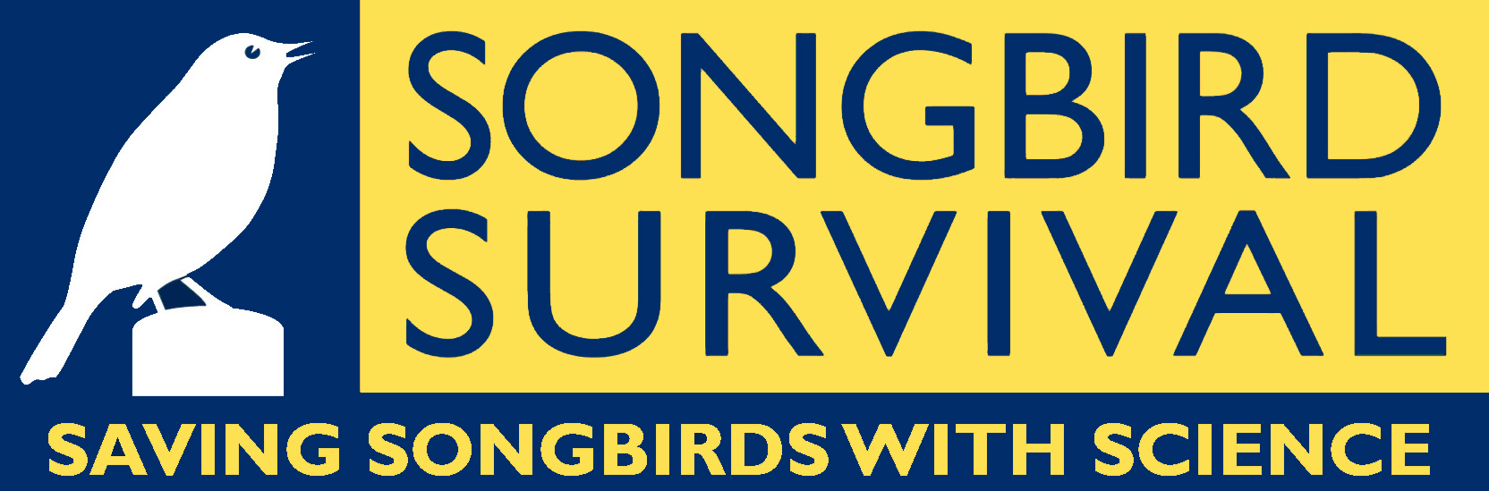 songbird-survival