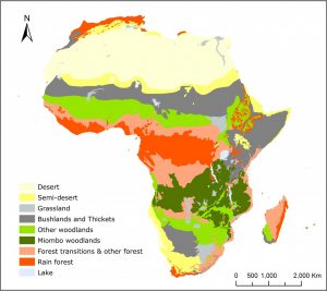 African Ecosystems
